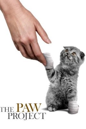 The Paw Project