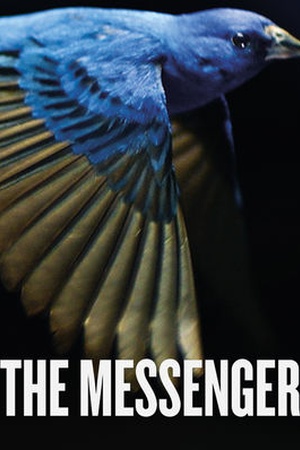 The Messenger