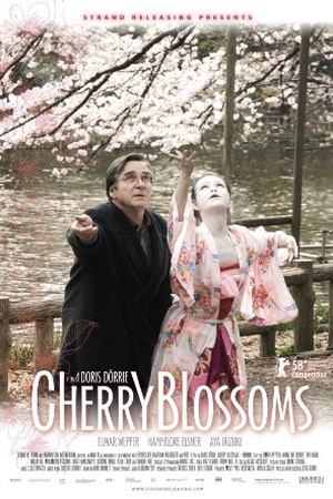 Cherry Blossoms