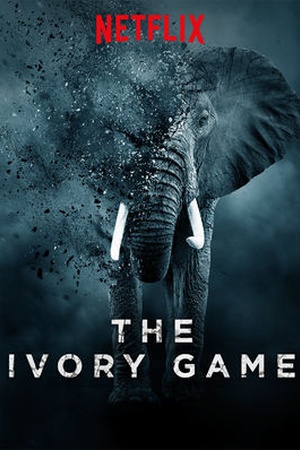 The Ivory Game