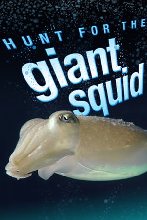 Hunt for the Giant Squid
