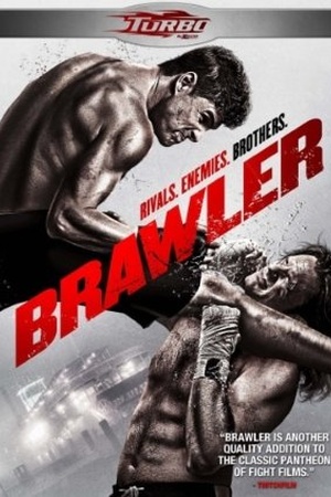 Brawler