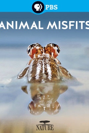 Nature: Animal Misfits 