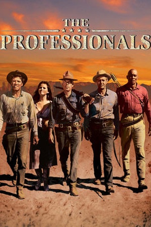 The Professionals