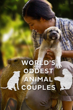 World's Oddest Animal Couples US