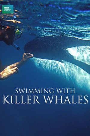 Swimming with Killer Whales