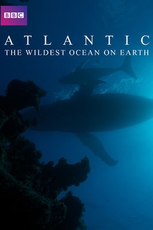 Atlantic: The Wildest Ocean on Earth