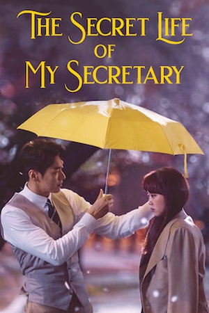 The Secret Life of My Secretary