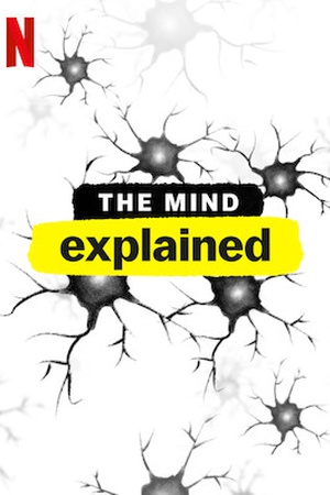 The Mind, Explained