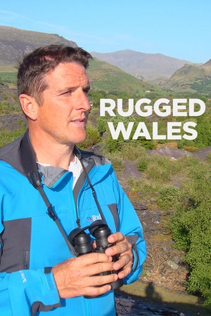 Rugged Wales