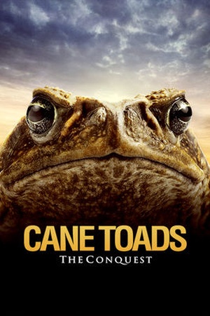 Cane Toads: The Conquest