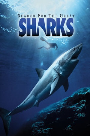 Search for the Great Sharks: IMAX