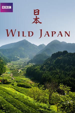 Wild Japan