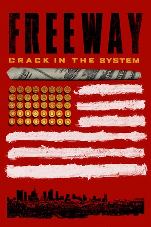 Freeway: Crack in the System