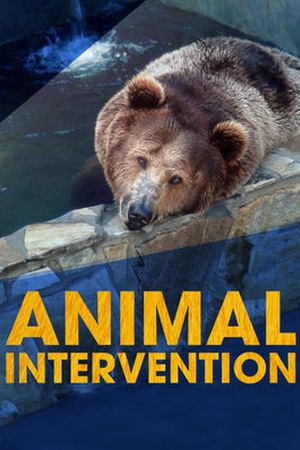 Animal Intervention