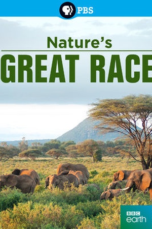 Nature's Great Race