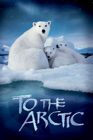 To the Arctic