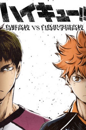 Haikyu!! Karasuno High School vs Shiratorizawa Academy