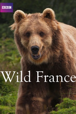 Wild France