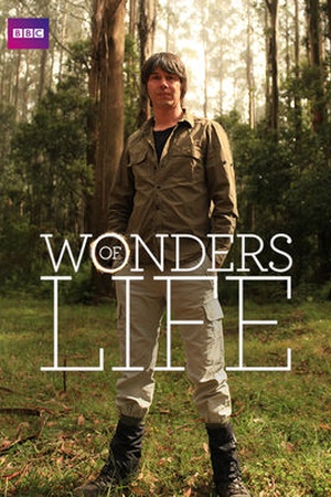 Wonders of Life