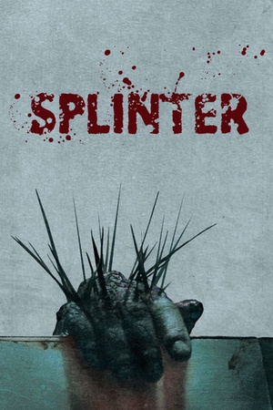 Splinter