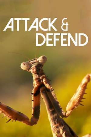 Attack and Defend