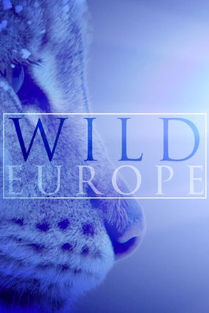 Europe's Last Great Wilderness