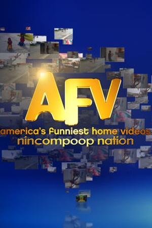 America's Funniest Home Videos Kids: Nincompoop Nation