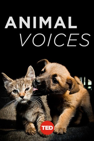 TEDTalks: Animal Voices