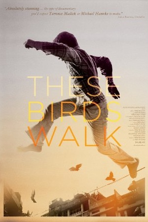 These Birds Walk