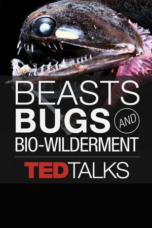 TEDTalks: Beasts, Bugs and Bio-wilderment