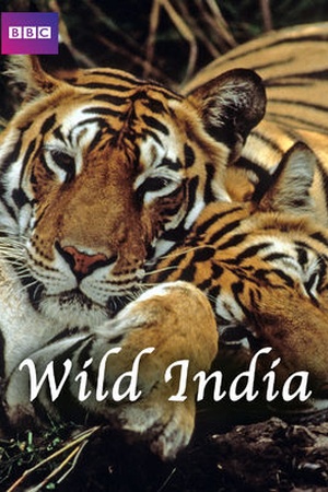 Wild India