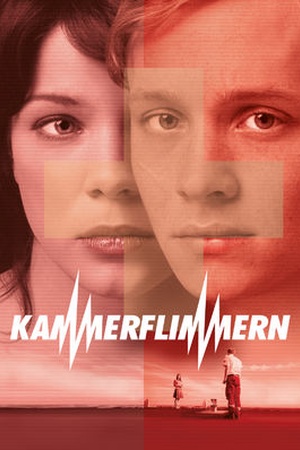 KAMMERFLIMMERN