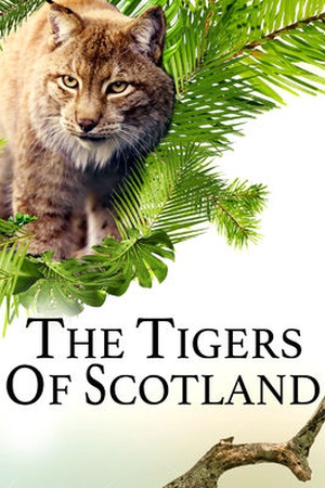 The Tigers of Scotland