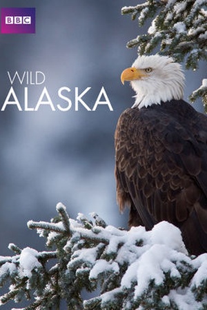 Wild Alaska