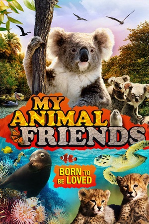 My Animal Friends