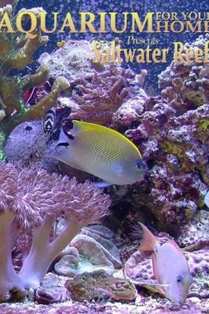 Aquarium for Your Home: Saltwater Reef