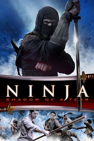 Ninja: Shadow of a Tear