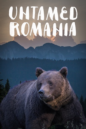 Untamed Romania