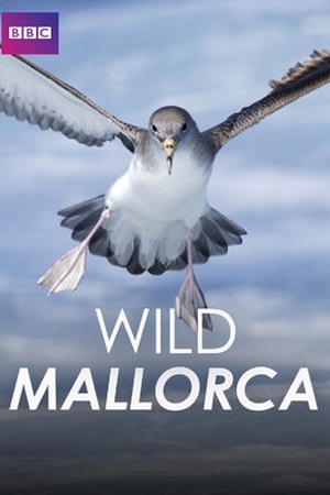 Wild Mallorca