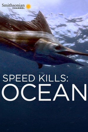 Speed Kills: Ocean