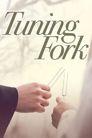 Tuning Fork