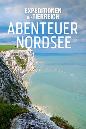 Expeditionen ins Tierreich: Abenteuer Nordsee