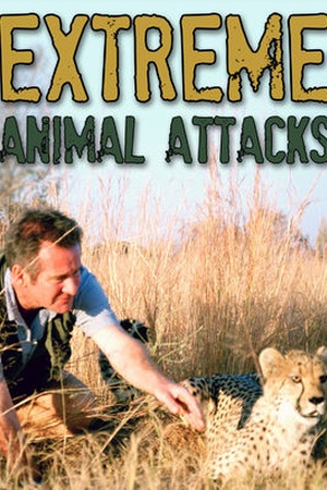 Extreme Animal Attacks