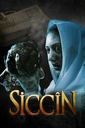 Siccin