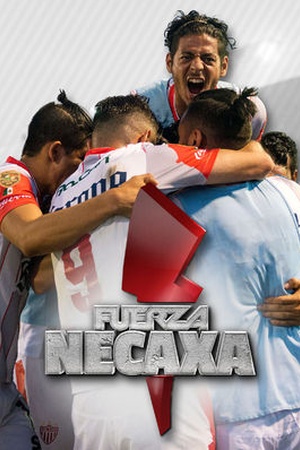 Fuerza Necaxa