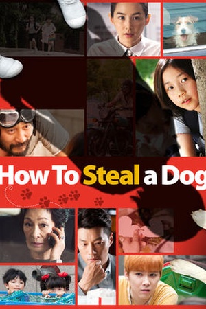 How to Steal a Dog